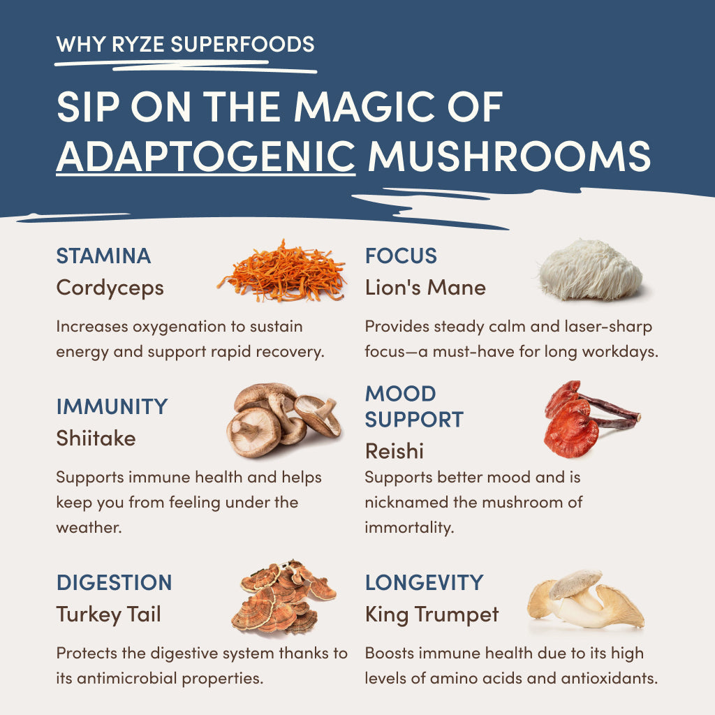 RYZE RYZE Nighttime Mushroom Cocoa Starter Bag