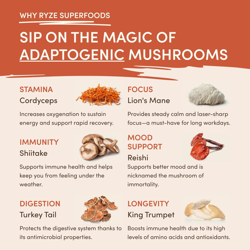 RYZE Mushroom Coffee (1 pack - 30 Servings)