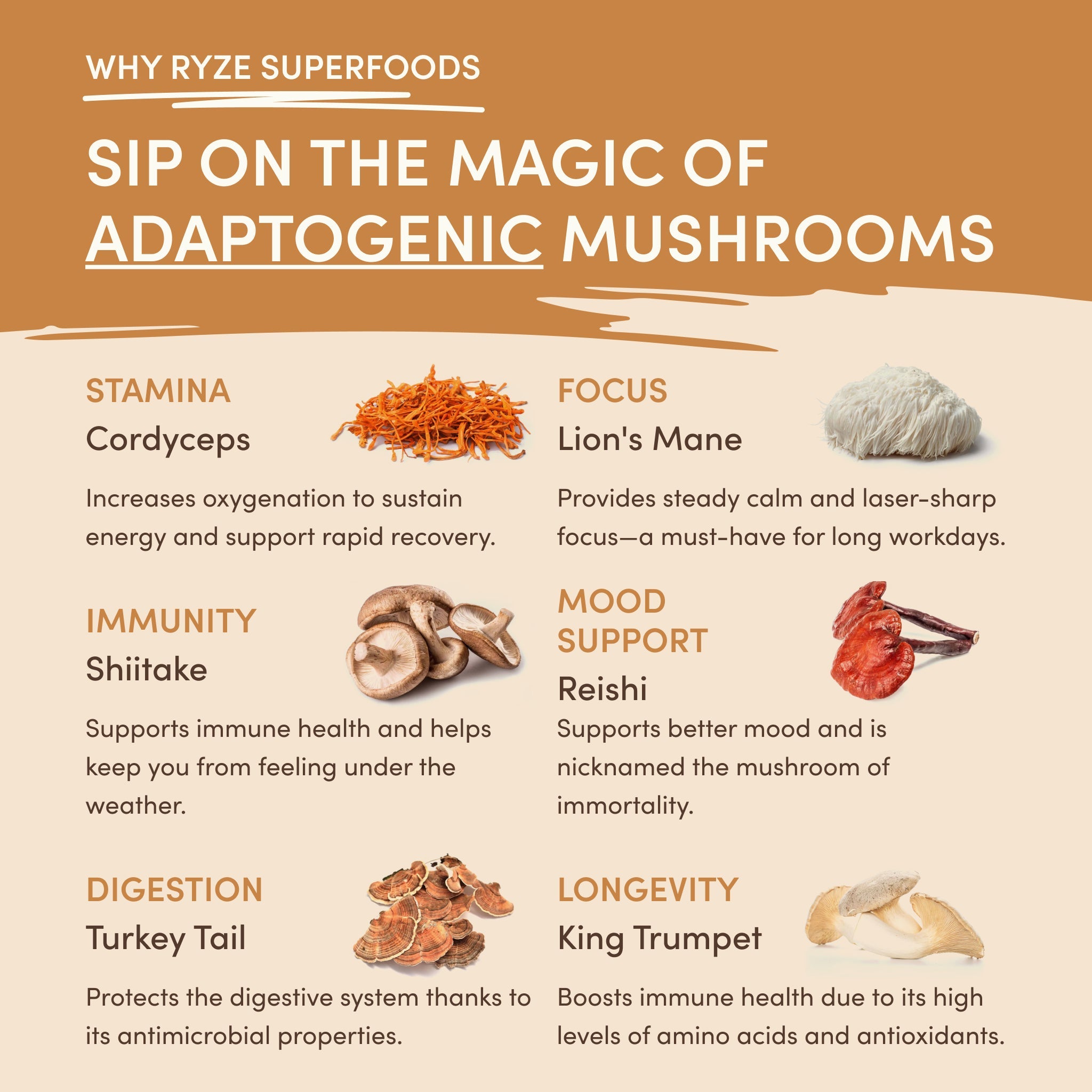 RYZE Mushroom Overnight Oats (14 Servings)