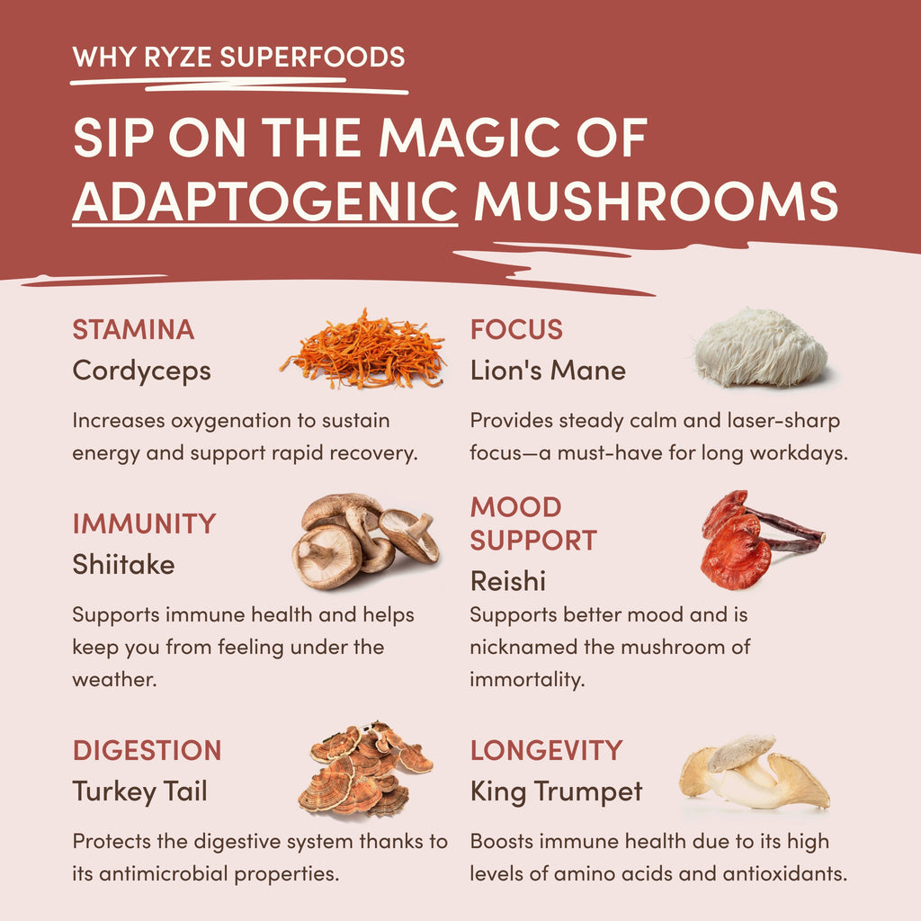 RYZE Mushroom Chicory (30 Servings)
