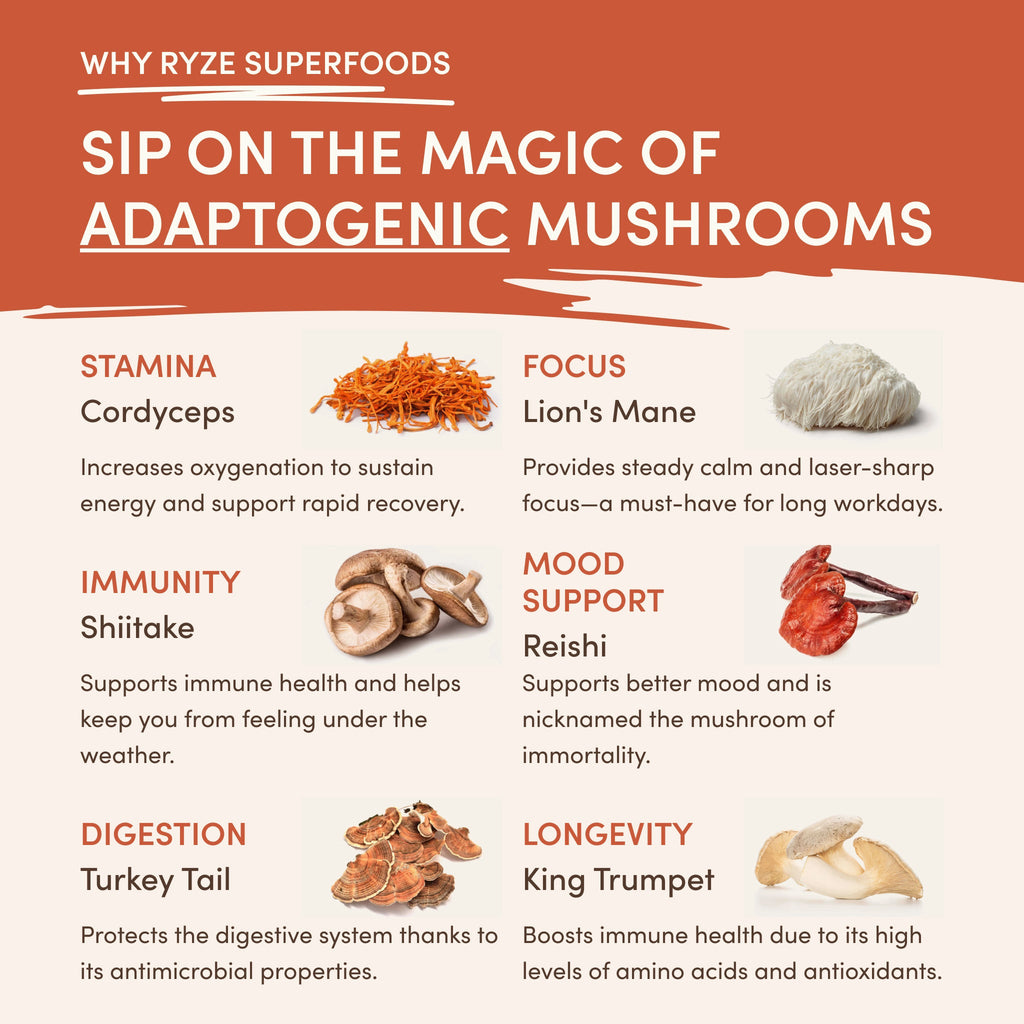 RYZE Superfood Creamer Starter Bag